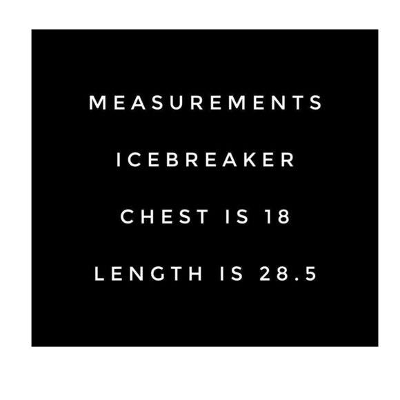 Icebreaker Men's RealFLEECE® Mt Elliot Long Sleeve Zip Jacket - Picture 2 of 16